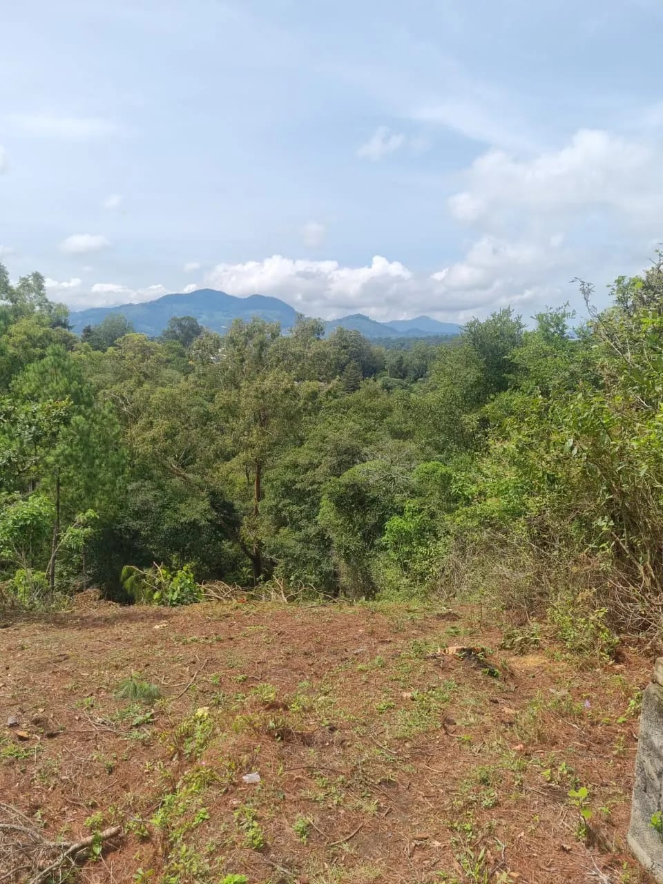 VENDO FINCA EN ALDEA LAS FLORES SUMPANGO SACATEPEQUEZ — Finca en Venta en Sumpango, Sacatepéquez — foto 2 de 14