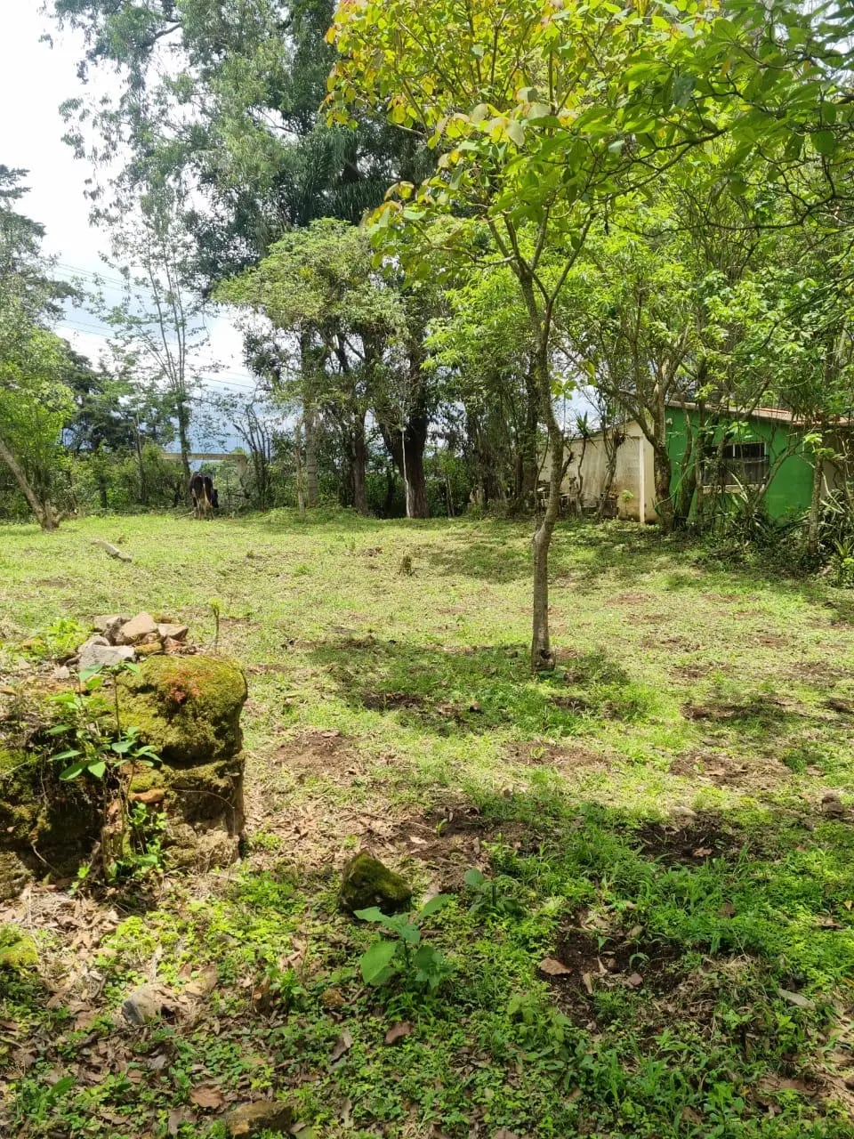 VENDO FINCA EN ALDEA LAS FLORES SUMPANGO SACATEPEQUEZ — Finca en Venta en Sumpango, Sacatepéquez — foto 8 de 14