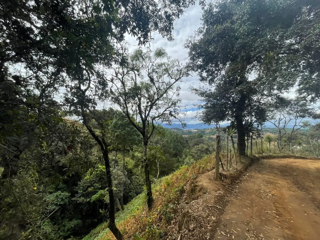 VENDO FINCA EN ALDEA LAS FLORES SUMPANGO SACATEPEQUEZ — Finca en Venta en Sumpango, Sacatepéquez — foto 13 de 14