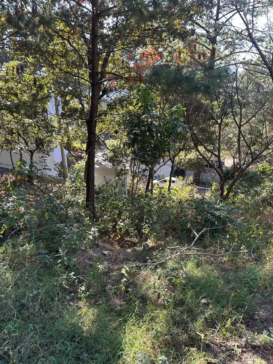 Vendo Terreno en Residenciales Bosques de Vistalago Santa Catarina — Terreno en Venta en Santa Catarina Pinula, Guatemala, Ciudad — foto 4 de 6