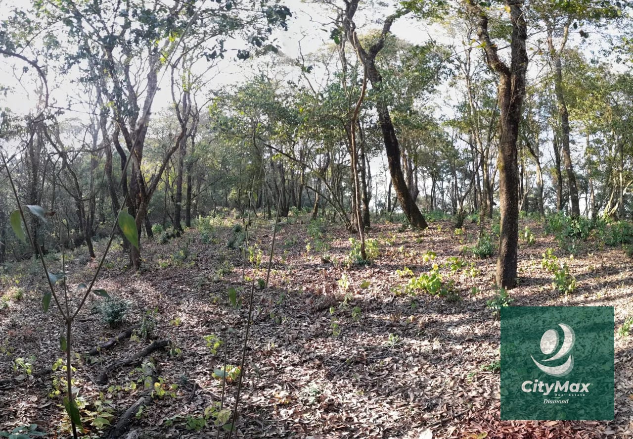TERRENO EN VENTA EN EL ENCINAL — Terreno en Venta en El Encinal, Zona 7 Mixco, Guatemala, Ciudad — foto 10 de 14