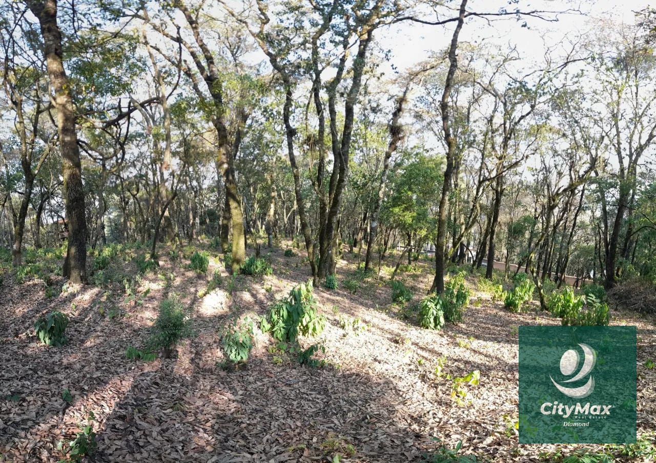 TERRENO EN VENTA EN EL ENCINAL — Terreno en Venta en El Encinal, Zona 7 Mixco, Guatemala, Ciudad — foto 7 de 14