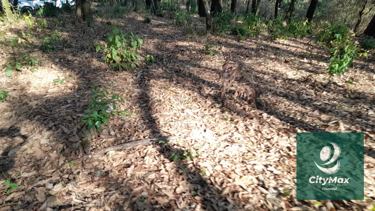 TERRENO EN VENTA EN EL ENCINAL — Terreno en Venta en El Encinal, Zona 7 Mixco, Guatemala, Ciudad — foto 5 de 14
