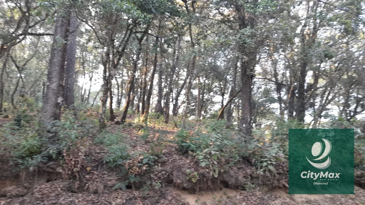 TERRENO EN VENTA EN EL ENCINAL — Terreno en Venta en El Encinal, Zona 7 Mixco, Guatemala, Ciudad — foto 13 de 14