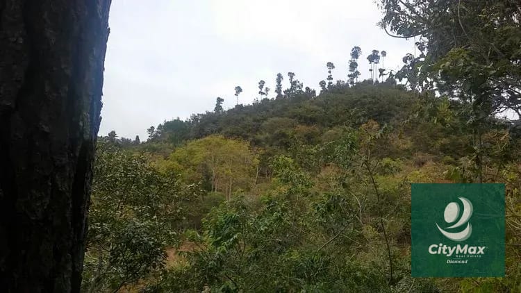 En Venta 70 Manzanas Terreno Boscoso San Pedro Ayampuc — Finca en Venta en San Pedro Ayampuc, Guatemala, Ciudad — foto 1 de 16