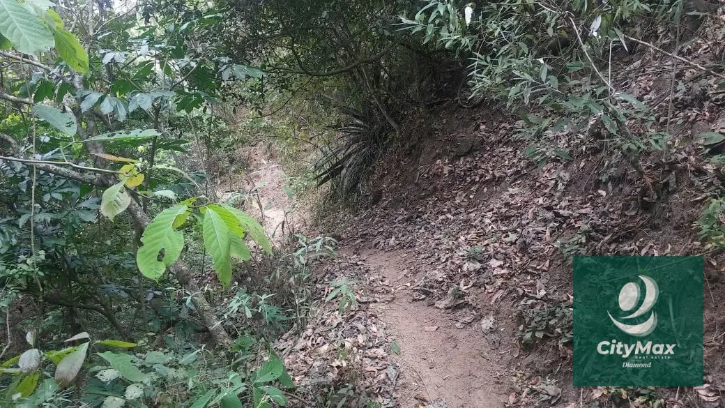 En Venta 70 Manzanas Terreno Boscoso San Pedro Ayampuc — Finca en Venta en San Pedro Ayampuc, Guatemala, Ciudad — foto 8 de 16