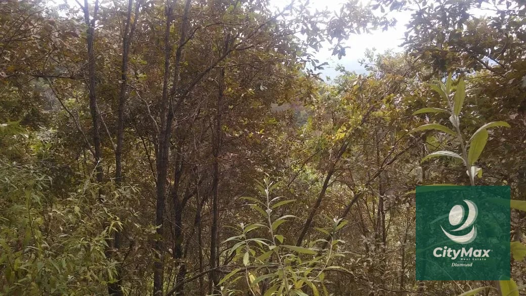 En Venta 70 Manzanas Terreno Boscoso San Pedro Ayampuc — Finca en Venta en San Pedro Ayampuc, Guatemala, Ciudad — foto 10 de 16
