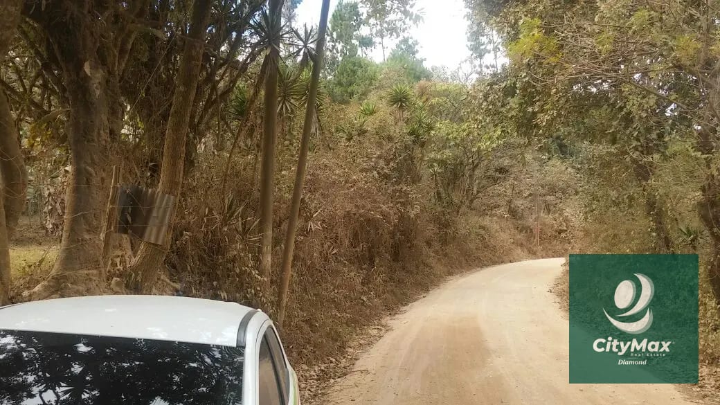 En Venta 70 Manzanas Terreno Boscoso San Pedro Ayampuc — Finca en Venta en San Pedro Ayampuc, Guatemala, Ciudad — foto 11 de 16