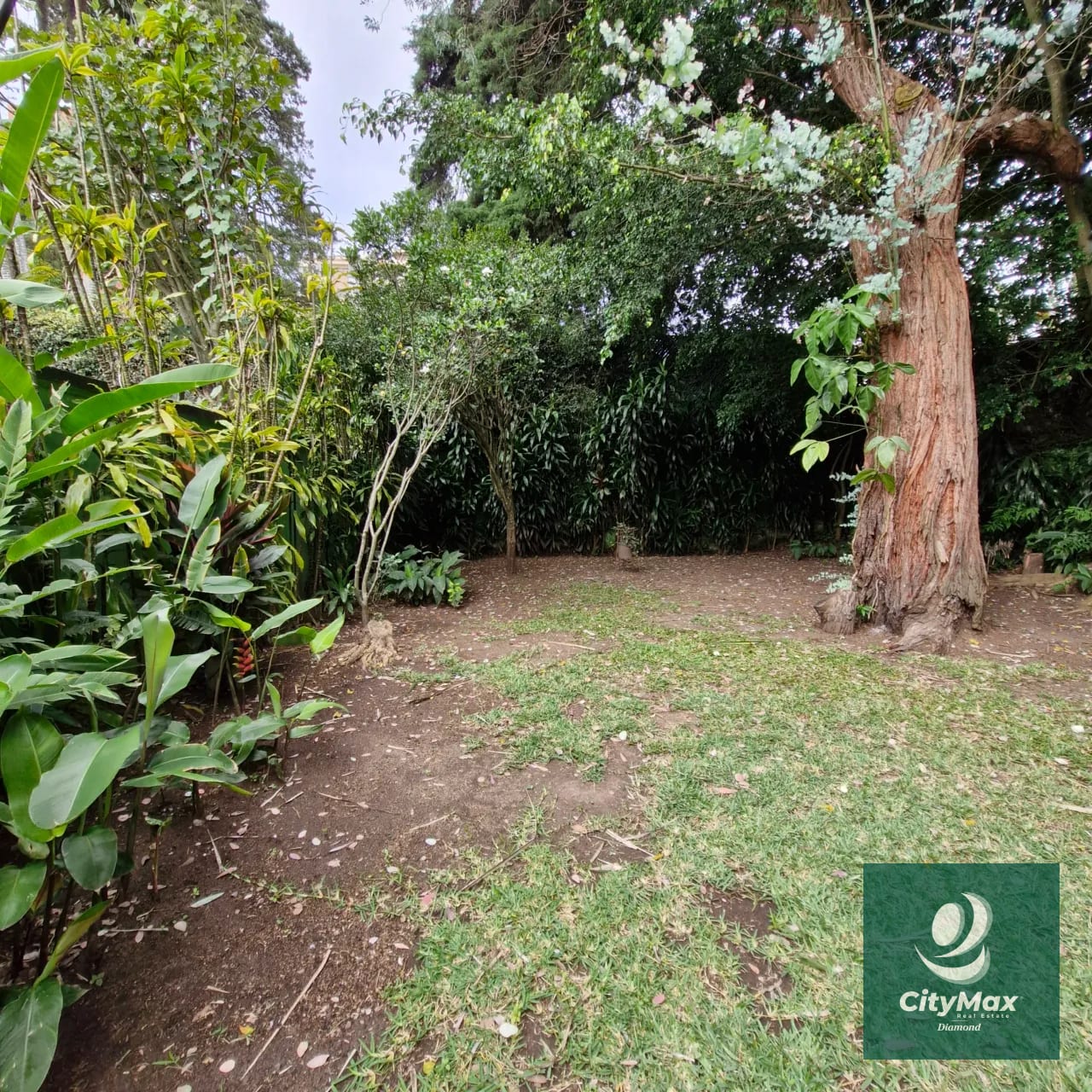 CITYMAX DIAMOND VENTA Casa en zona 10 fuera de condominio — Casa en Venta en Zona 10, Guatemala, Ciudad — foto 14 de 16