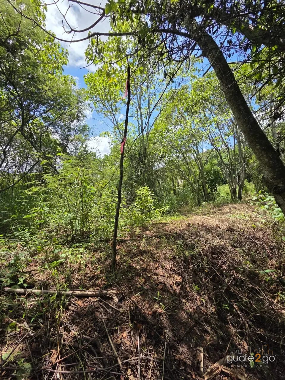 Terreno en venta para desarrollo inmobiliario en CAES — Terreno en Venta en km 16-20, Carretera a El Salvador, Guatemala, Ciudad — foto 7 de 17