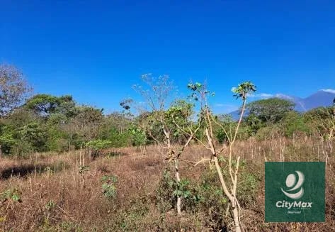 Amplio Terreno en Venta en Palín Escuintla — Terreno en Venta en Palín, Escuintla — foto 5 de 8