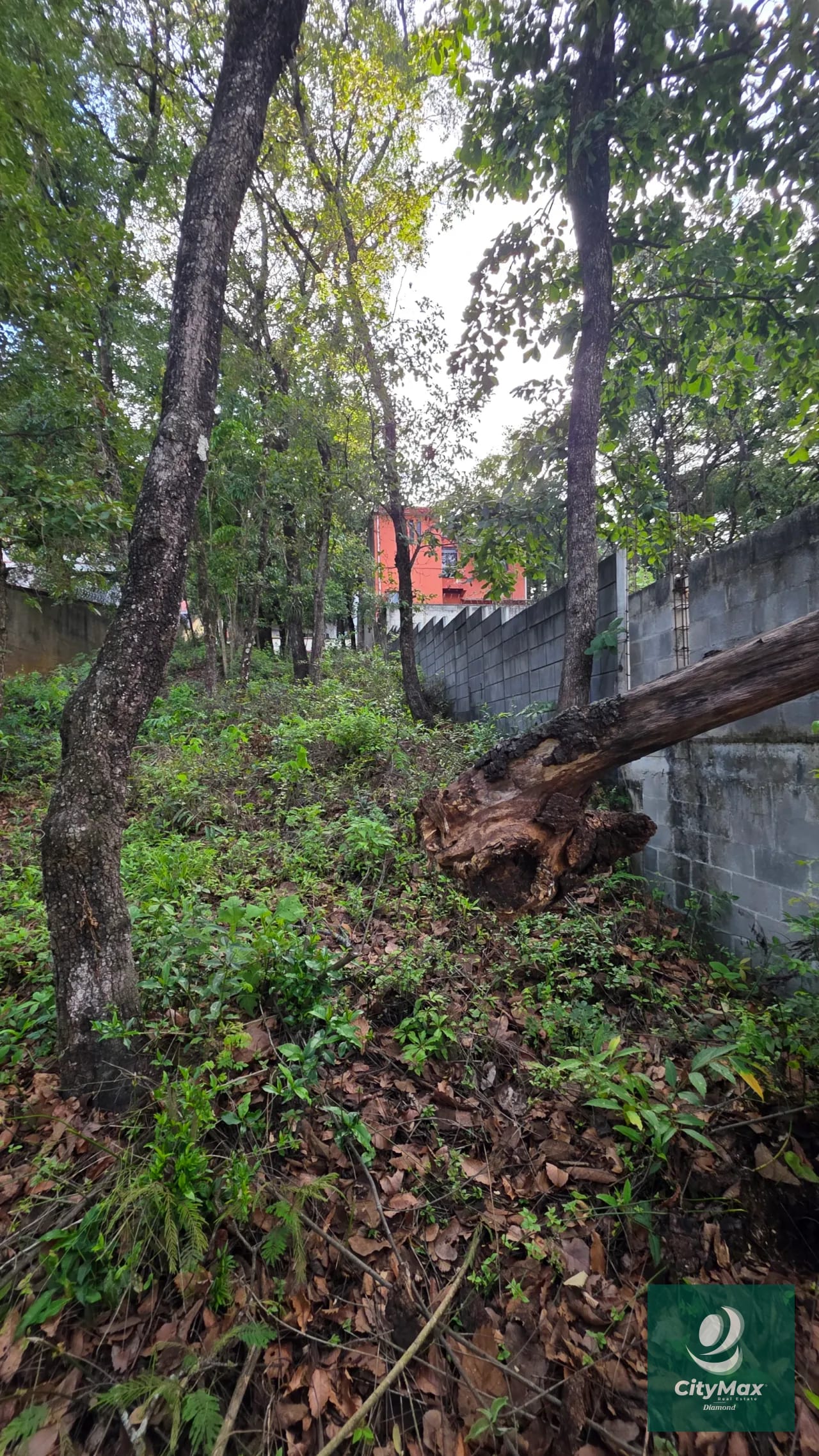 Terreno en Venta en Las Hojarascas Mixco — Terreno en Venta en Las Hojarascas, Zona 1 Mixco, Guatemala, Ciudad — foto 3 de 15