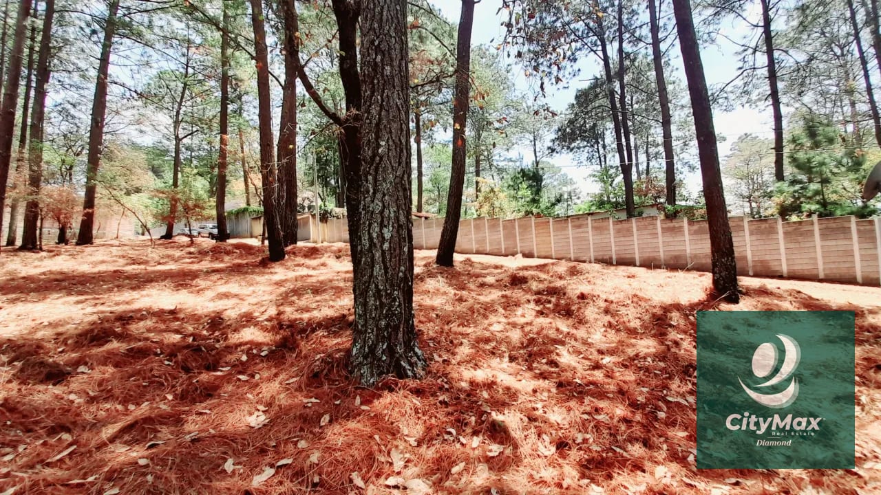 Terreno en Venta en Santo Domingo Xenacoj Sacatepequez — Terreno en Venta en Santo Domingo Xenacoj, Sacatepéquez — foto 1 de 7