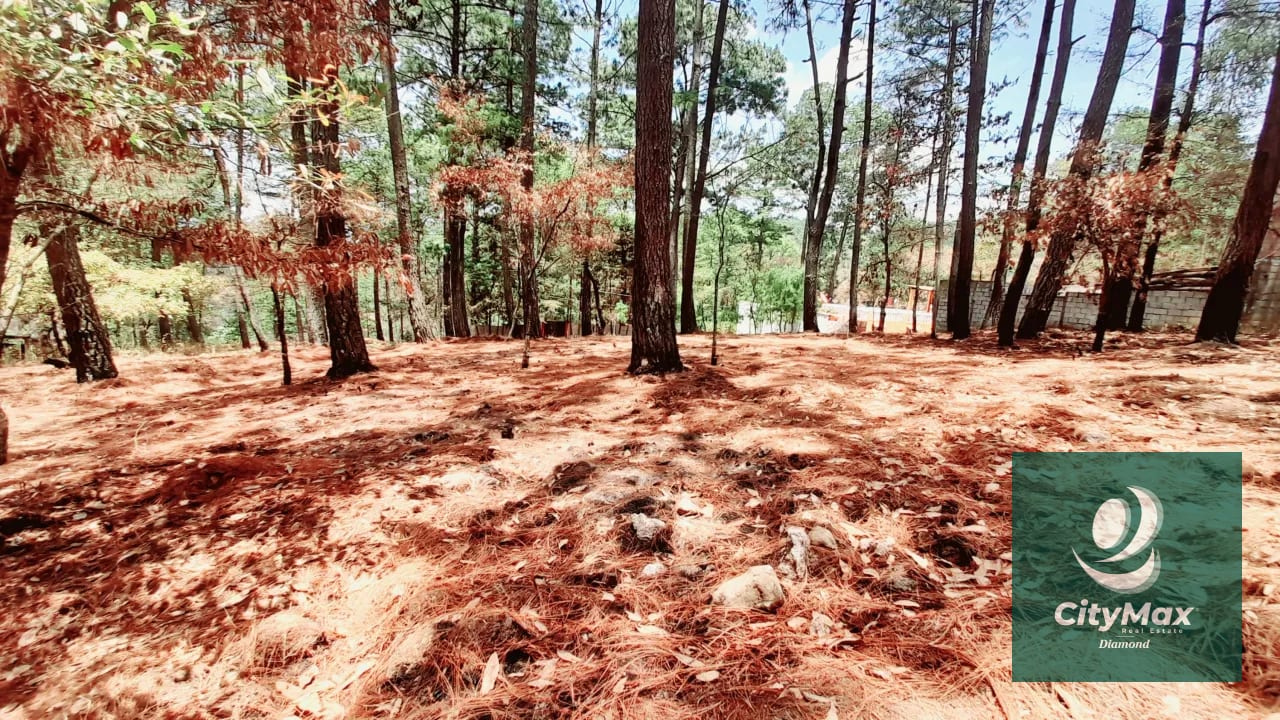 Terreno en Venta en Santo Domingo Xenacoj Sacatepequez — Terreno en Venta en Santo Domingo Xenacoj, Sacatepéquez — foto 7 de 7