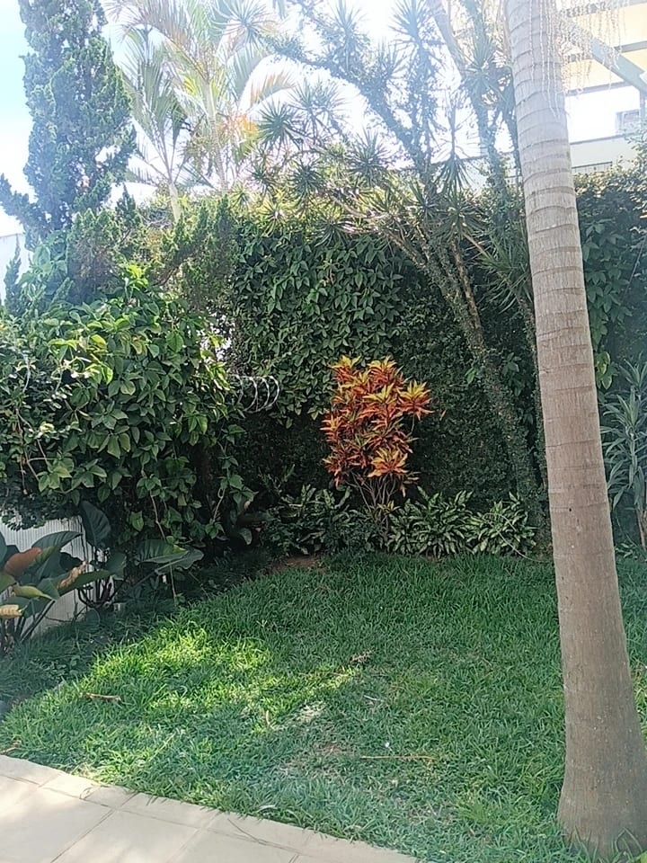 RENTO CASA DE 4 HAB ZONA 10 VILLA MARQUEZ REF.6934 *3 PARQUEOS, CUARTO SERV, 4 HAB, 3.5 BAÑOS, SALA FAM* — Casa en Alquiler en Zona 10, Guatemala, Ciudad — foto 8 de 13