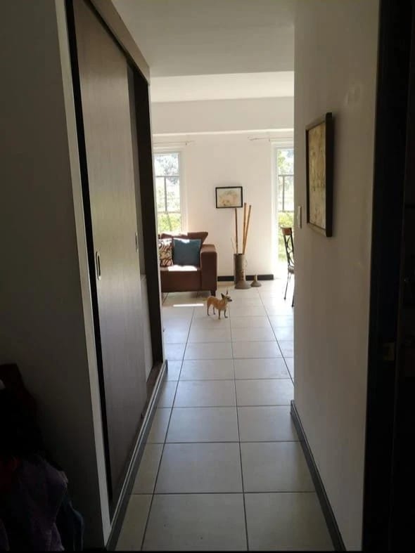 RENTO APTO Z.16 VILLAS HEXA CAÑADA 16 CON O SIN MUEBLES REF.6879 — Apartamento en Alquiler en Zona 16, Guatemala, Ciudad — foto 10 de 17