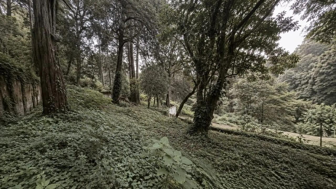 Vendo Terreno Granjas Jardin el Alto. Santiago, Sacatepequez — Terreno en Venta en Santiago Sacatepéquez, Sacatepéquez — foto 3 de 4