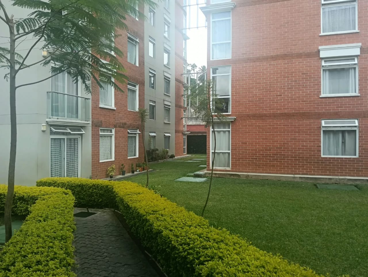 Rento Apto Zona 1, Historico 1, REF.6943 *2 Hab, Estudio, 2 Baños, — Apartamento en Alquiler en Zona 1, Guatemala, Ciudad — foto 6 de 13