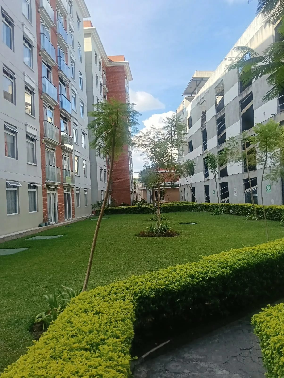 Rento Apto Zona 1, Historico 1, REF.6943 *2 Hab, Estudio, 2 Baños — Apartamento en Alquiler en Zona 1, Guatemala, Ciudad — foto 8 de 17