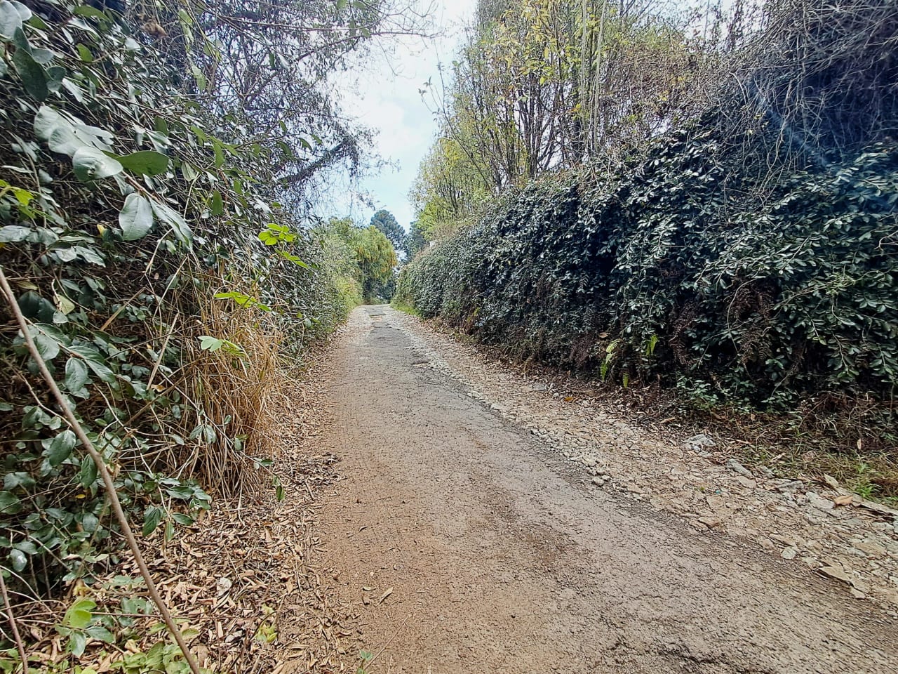TERRENO EN RENTA PARA DESARROLLO Ruta a San Juan Sacatepéquez z.6 de Mixco — Terreno en Alquiler en Club Campestre La Montaña, Zona 6 Mixco, Guatemala, Ciudad — foto 7 de 9