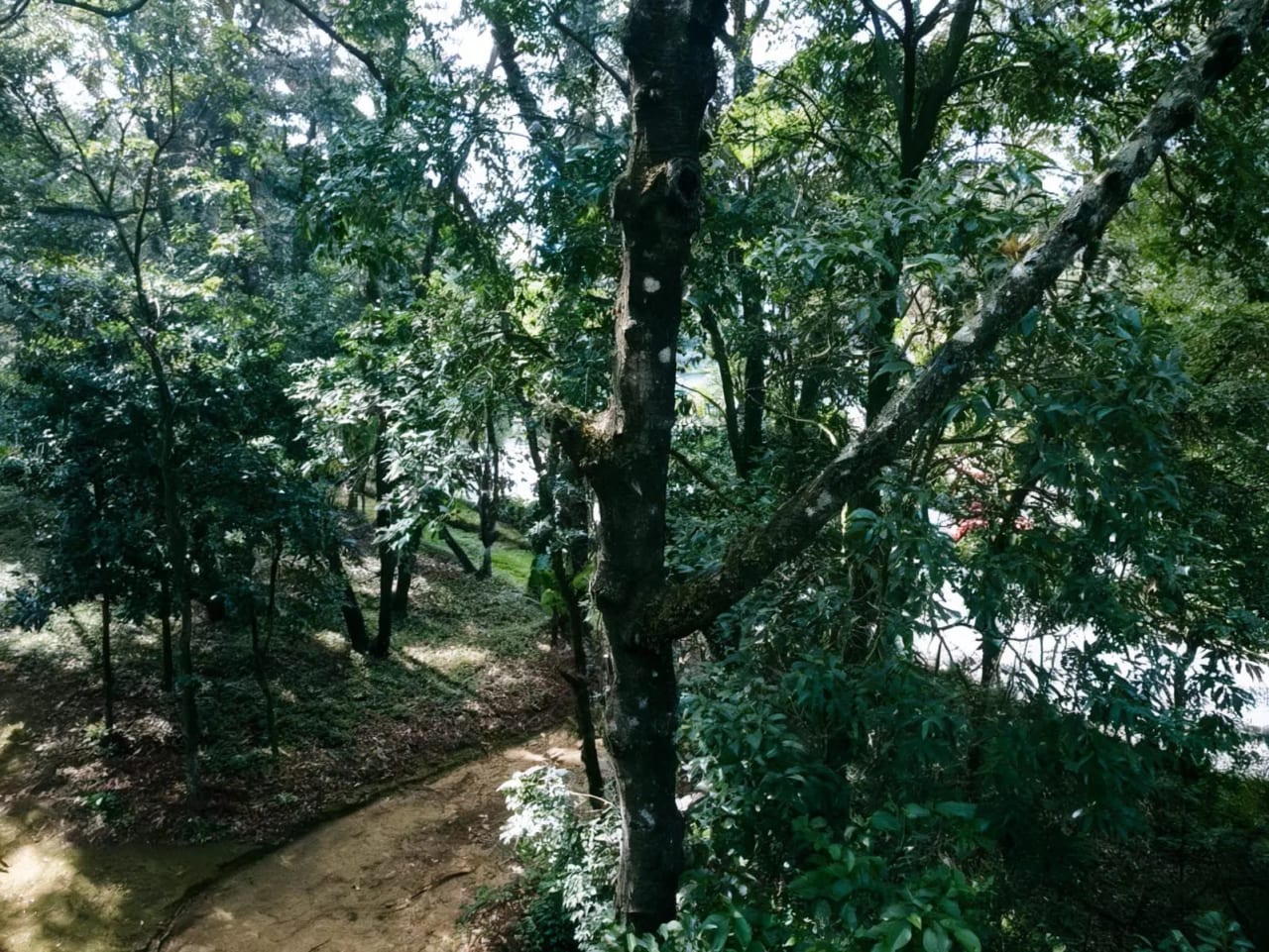 Terreno Comercial en VENTA Km.24.5 Carretera Interamericana — Terreno en Venta en San Lucas Sacatepéquez, Sacatepéquez — foto 4 de 11