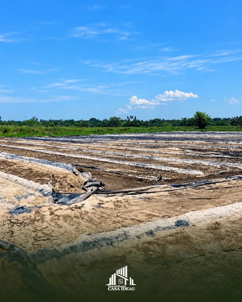 Terreno en Venta en Sipacate, Escuintla — Finca en Venta en Sipacate, Escuintla — foto 4 de 4