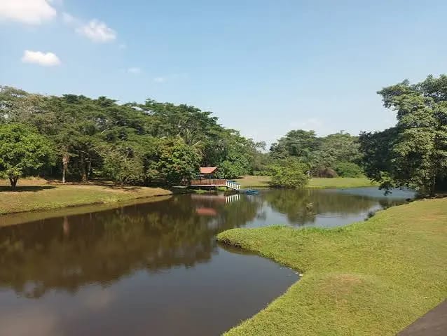 Propiedad con Piscina y Casa de Descanso en Venta en Torremolinos KM. 79 Autopista a Puerto Quetzal Escuintla — Terreno en Venta en Escuintla, Escuintla — foto 14 de 16