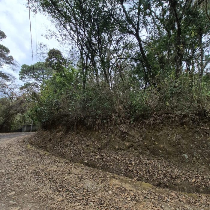 Terreno en Venta en El Encinal — Terreno en Venta en El Encinal, Zona 7 Mixco, Guatemala, Ciudad — foto 1 de 5