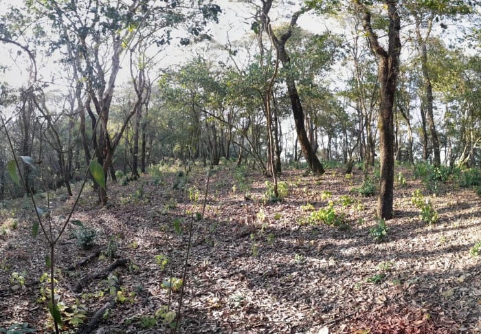 Terreno en Venta en El Encinal — Terreno en Venta en El Encinal, Zona 7 Mixco, Guatemala, Ciudad — foto 4 de 5