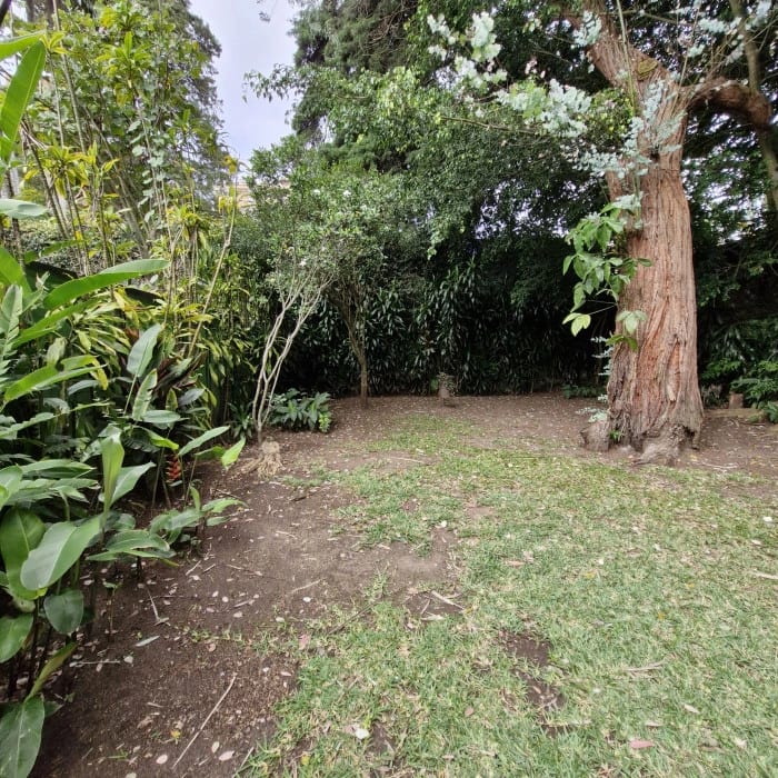Casa en Venta en Zona 10 — Casa en Venta en Zona 10, Guatemala, Ciudad — foto 9 de 13