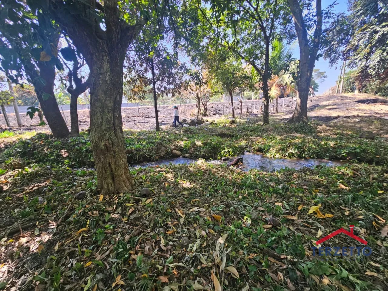 Km 64.5 Ruta a Taxisco — Terreno en Alquiler en Escuintla, Escuintla — foto 5 de 17