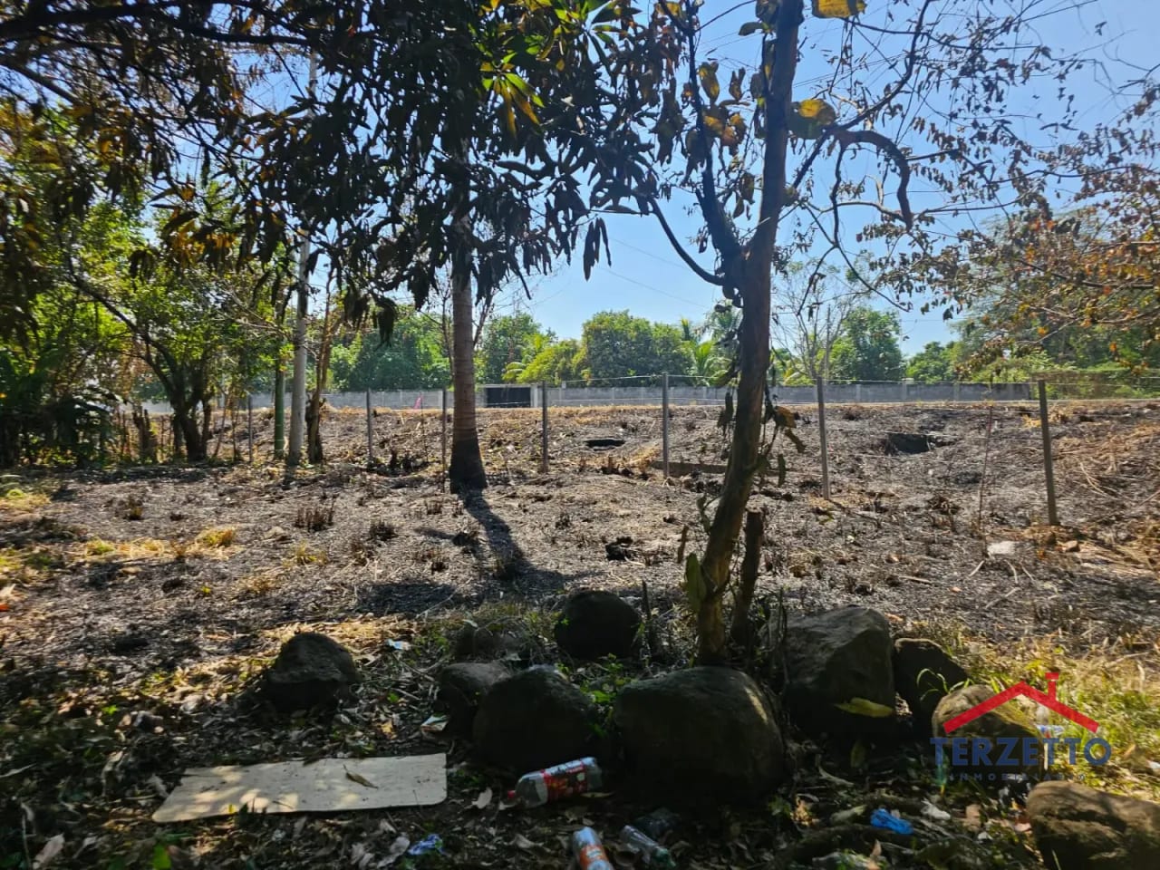 Km 64.5 Ruta a Taxisco — Terreno en Alquiler en Escuintla, Escuintla — foto 6 de 17