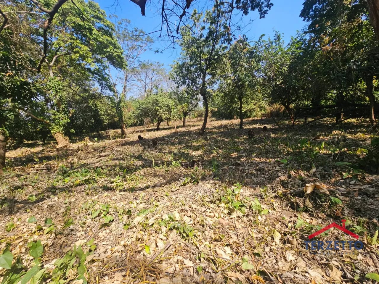 Km 64.5 Ruta a Taxisco — Terreno en Alquiler en Escuintla, Escuintla — foto 1 de 17