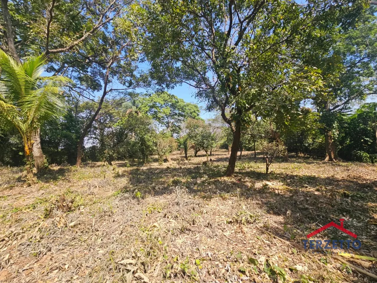 Km 64.5 Ruta a Taxisco — Terreno en Alquiler en Escuintla, Escuintla — foto 9 de 17
