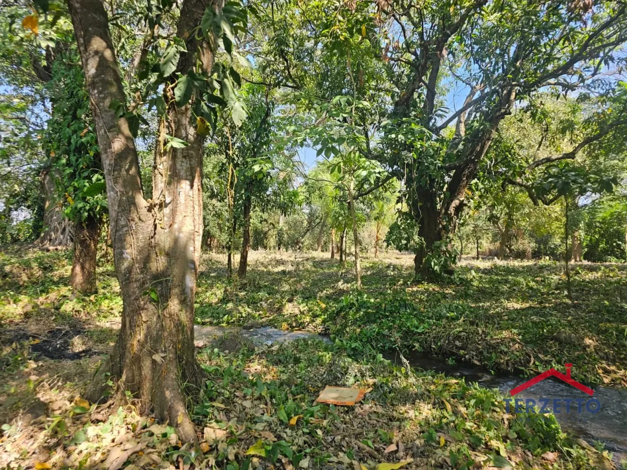 Km 64.5 Ruta a Taxisco — Terreno en Alquiler en Escuintla, Escuintla — foto 10 de 17