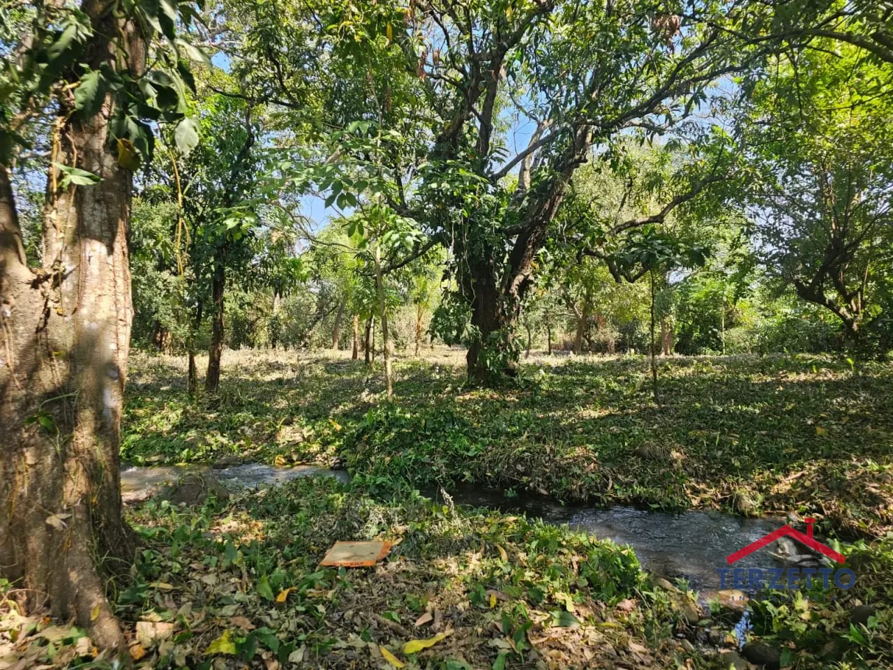Km 64.5 Ruta a Taxisco — Terreno en Alquiler en Escuintla, Escuintla — foto 11 de 17