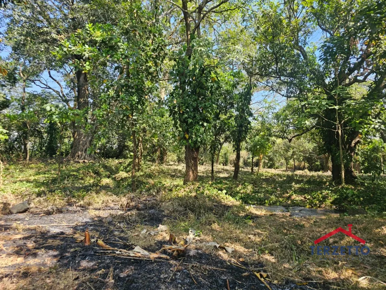 Km 64.5 Ruta a Taxisco — Terreno en Alquiler en Escuintla, Escuintla — foto 12 de 17