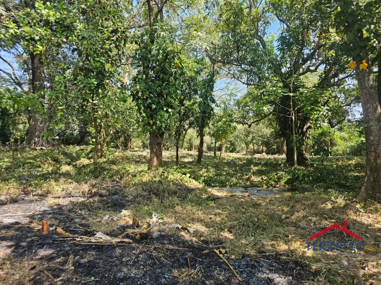 Km 64.5 Ruta a Taxisco — Terreno en Alquiler en Escuintla, Escuintla — foto 13 de 17