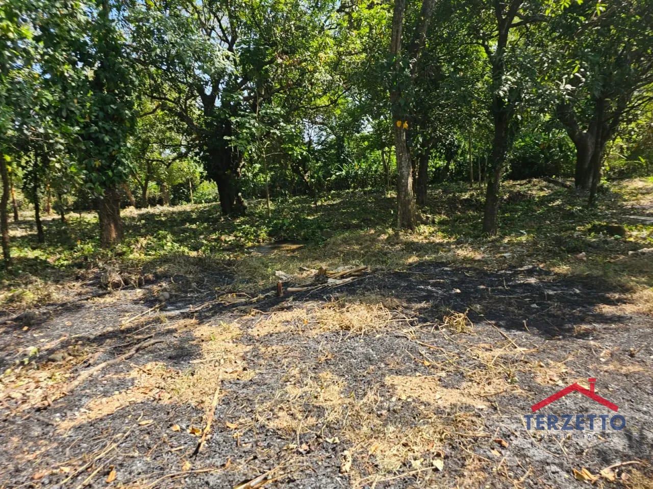 Km 64.5 Ruta a Taxisco — Terreno en Alquiler en Escuintla, Escuintla — foto 14 de 17