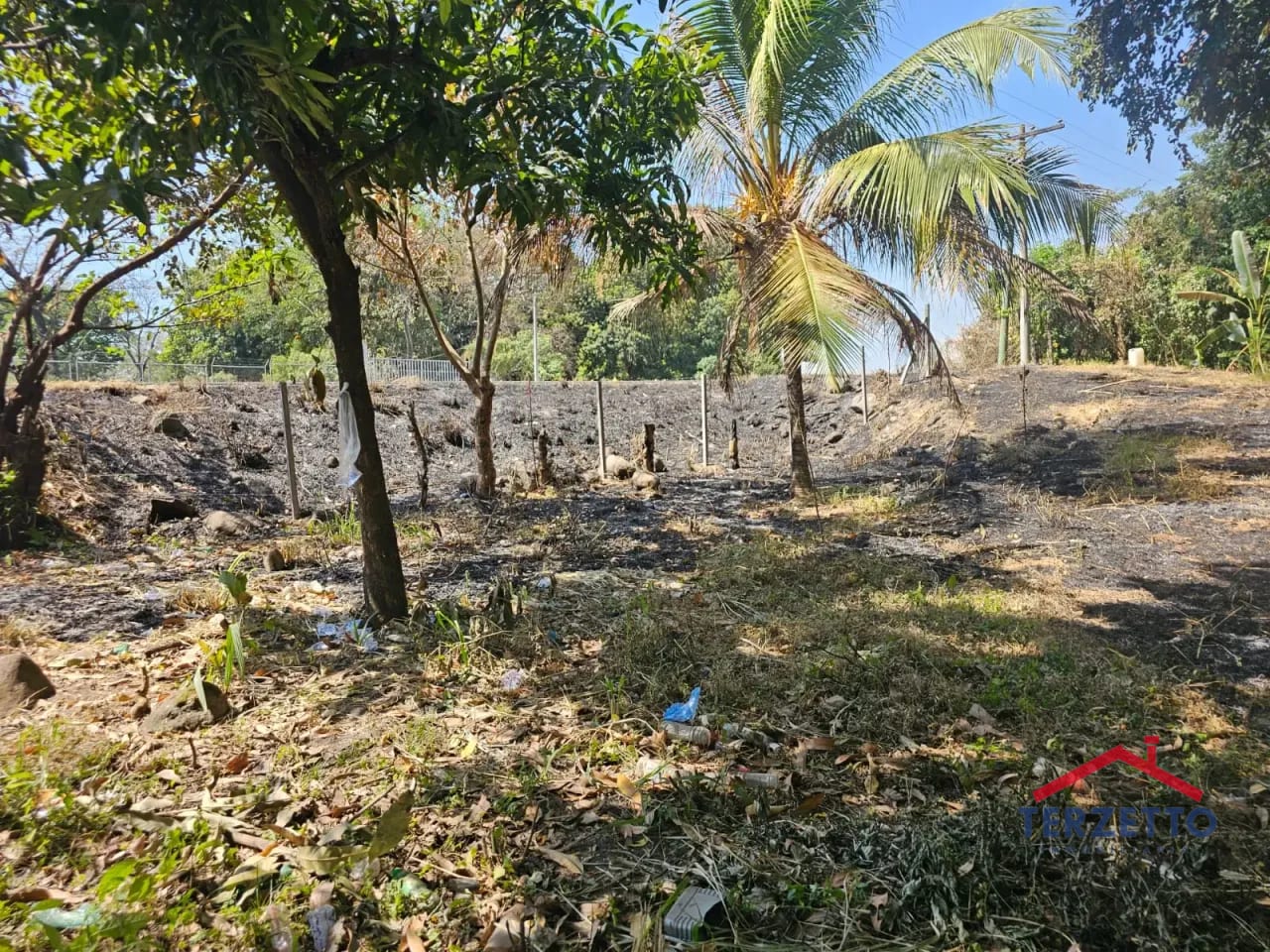 Km 64.5 Ruta a Taxisco — Terreno en Alquiler en Escuintla, Escuintla — foto 15 de 17