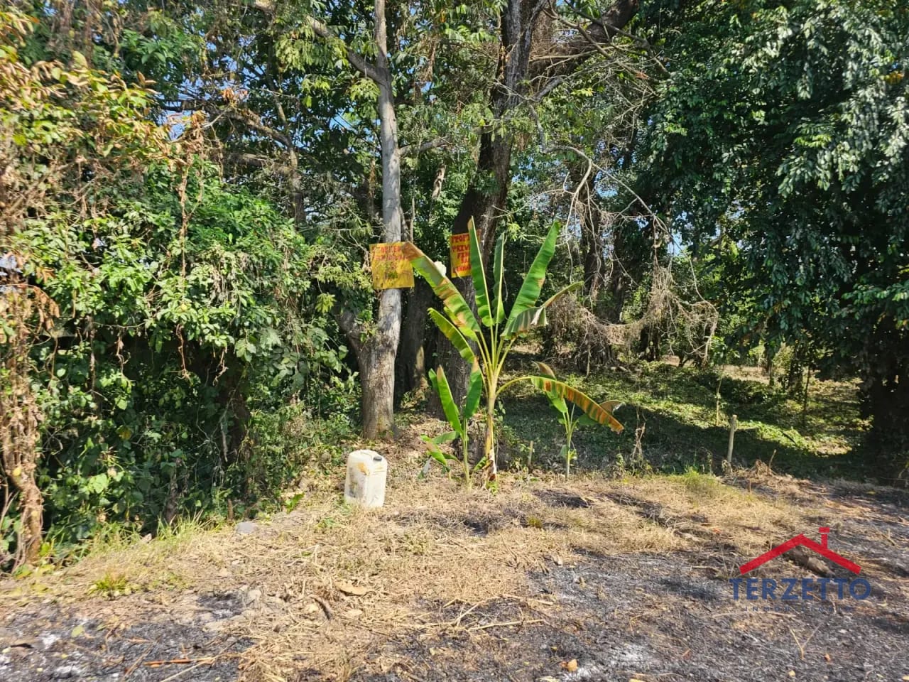 Km 64.5 Ruta a Taxisco — Terreno en Alquiler en Escuintla, Escuintla — foto 16 de 17
