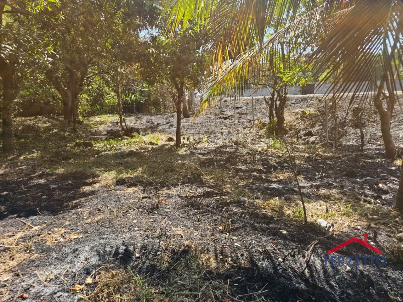 Km 64.5 Ruta a Taxisco — Terreno en Alquiler en Escuintla, Escuintla — foto 17 de 17