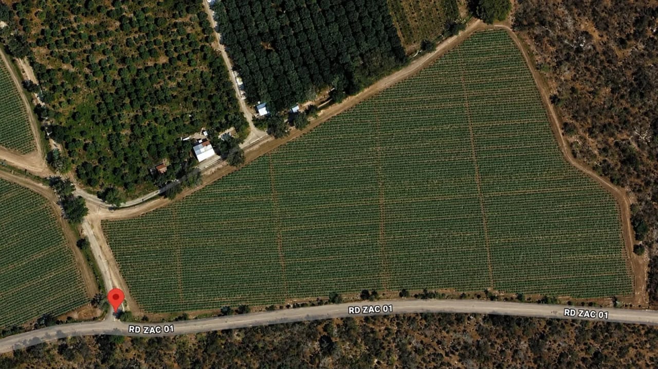 Terreno en Venta en Zacapa — Terreno en Venta en Estanzuela, Zacapa — foto 2 de 2