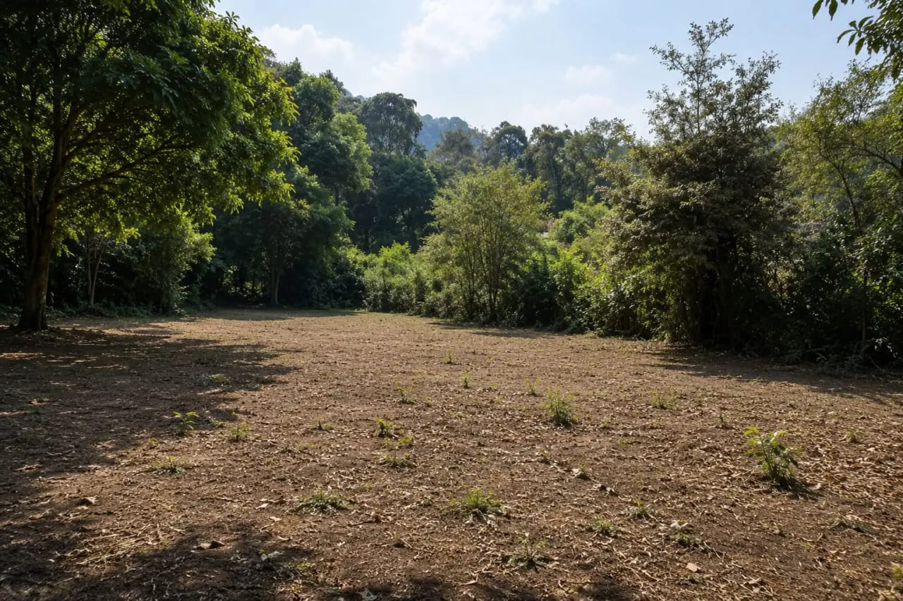 Terreno en Venta en Milpas Altas, Aldea la Libertad — Terreno en Venta en Santa Lucía Milpas Altas, Sacatepéquez — foto 3 de 3