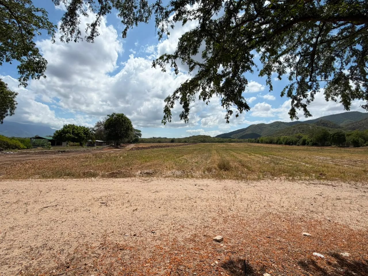 Terreno en Venta en Zacapa — Terreno en Venta en Gualán, Zacapa — foto 7 de 17