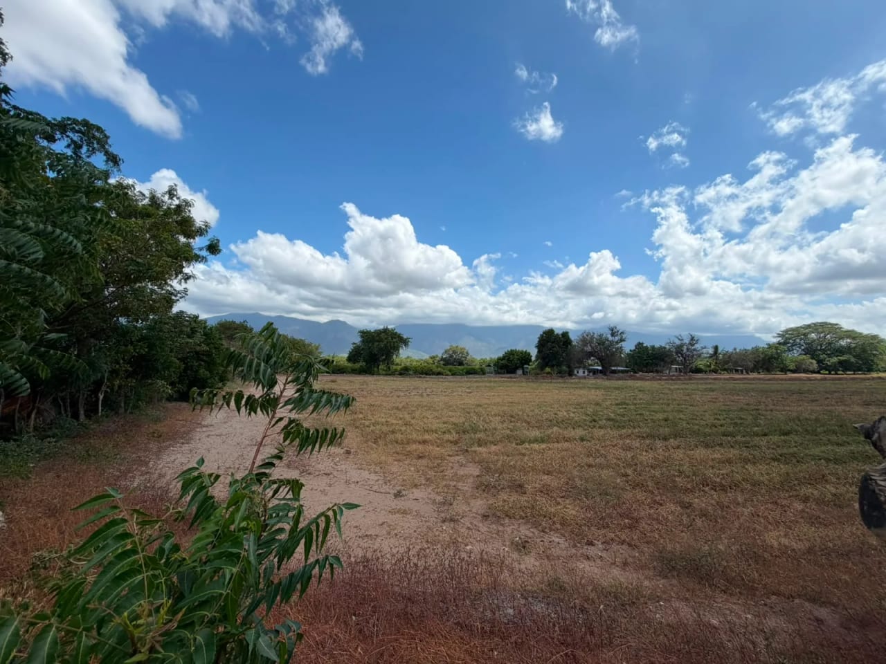 Terreno en Venta en Zacapa — Terreno en Venta en Gualán, Zacapa — foto 10 de 17