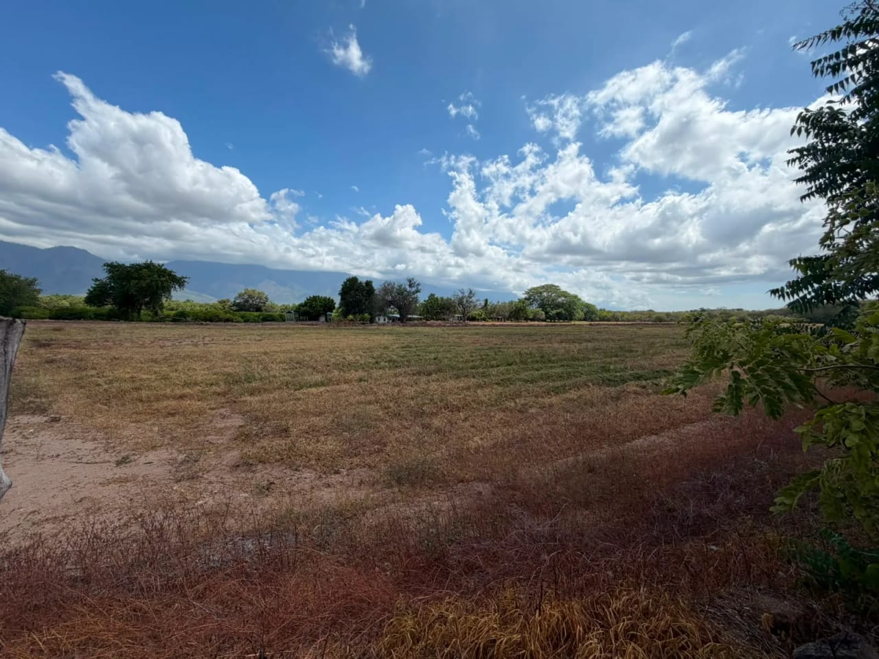 Terreno en Venta en Zacapa — Terreno en Venta en Gualán, Zacapa — foto 11 de 17