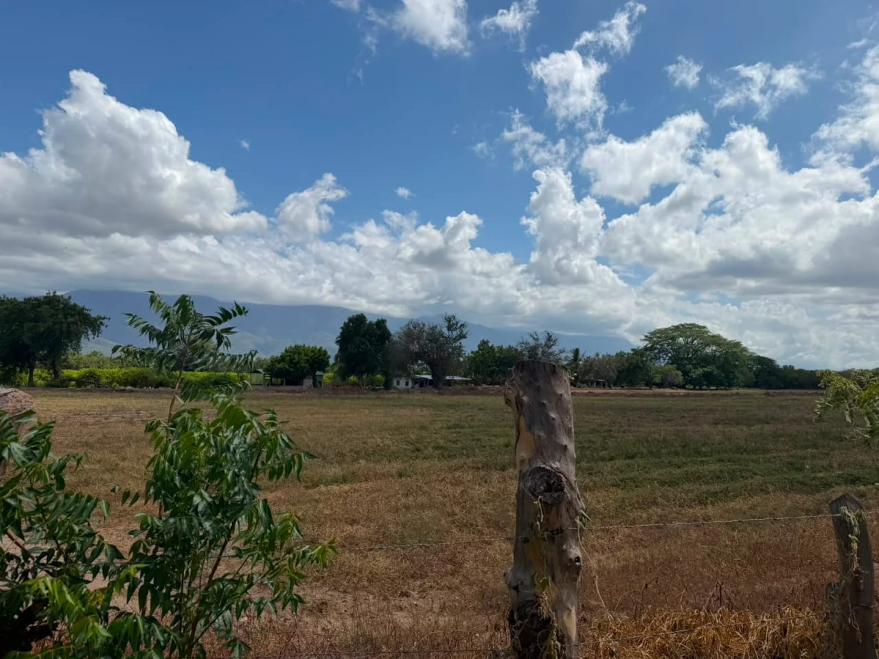 Terreno en Venta en Zacapa — Terreno en Venta en Gualán, Zacapa — foto 13 de 17