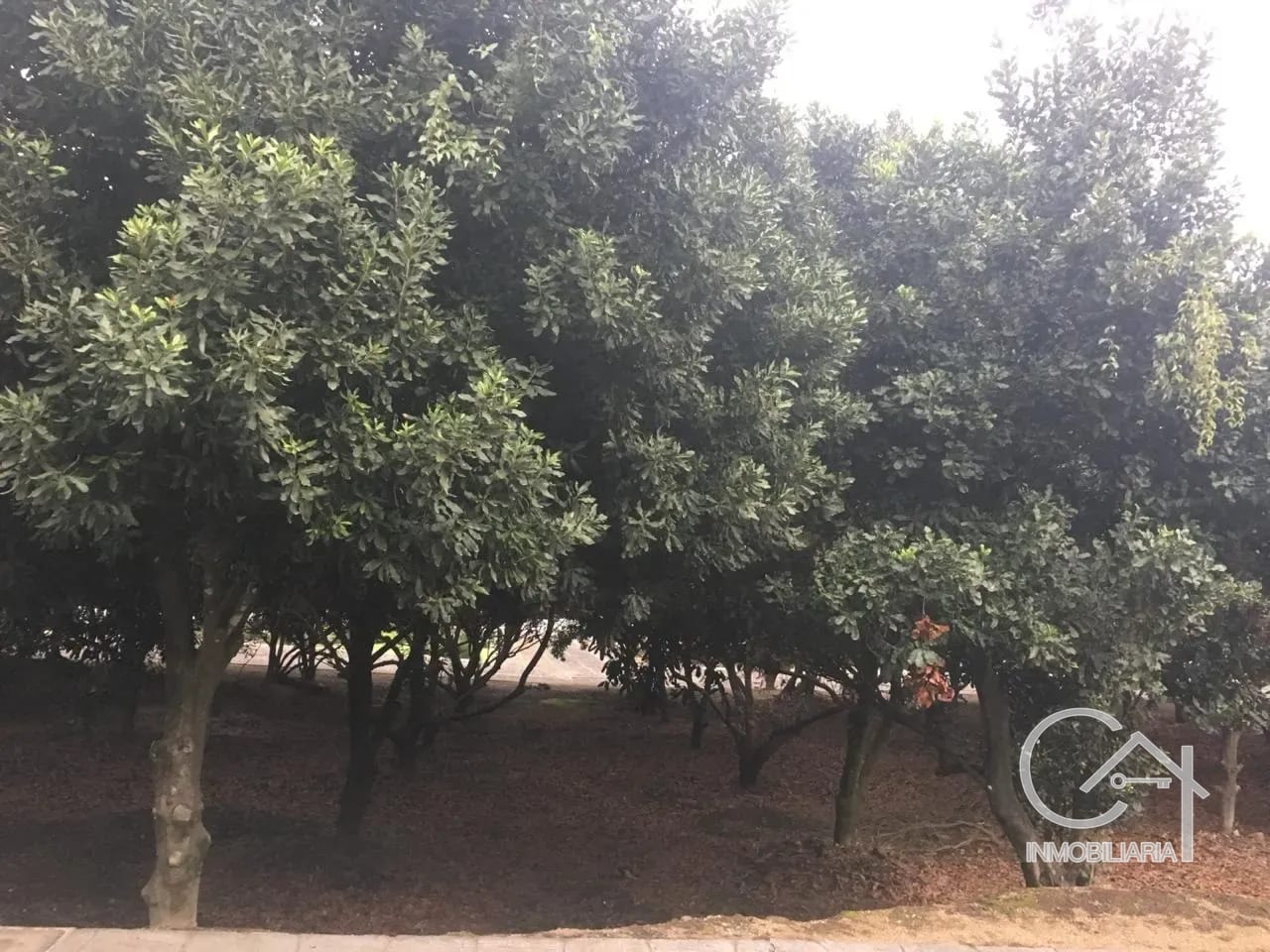 Terreno en venta Hacienda El Comendador, Antigua Guatemala — Terreno en Venta en Antigua, Sacatepéquez — foto 3 de 4