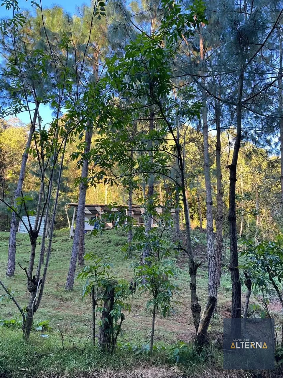 Terreno con espacios fotograficos ideal para negocio — Terreno en Alquiler en Tecpán, Chimaltenango — foto 3 de 4